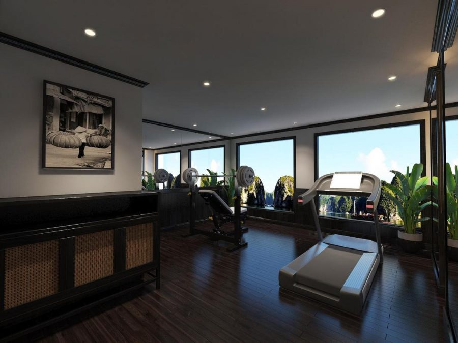 Aspira Cruise Introduction