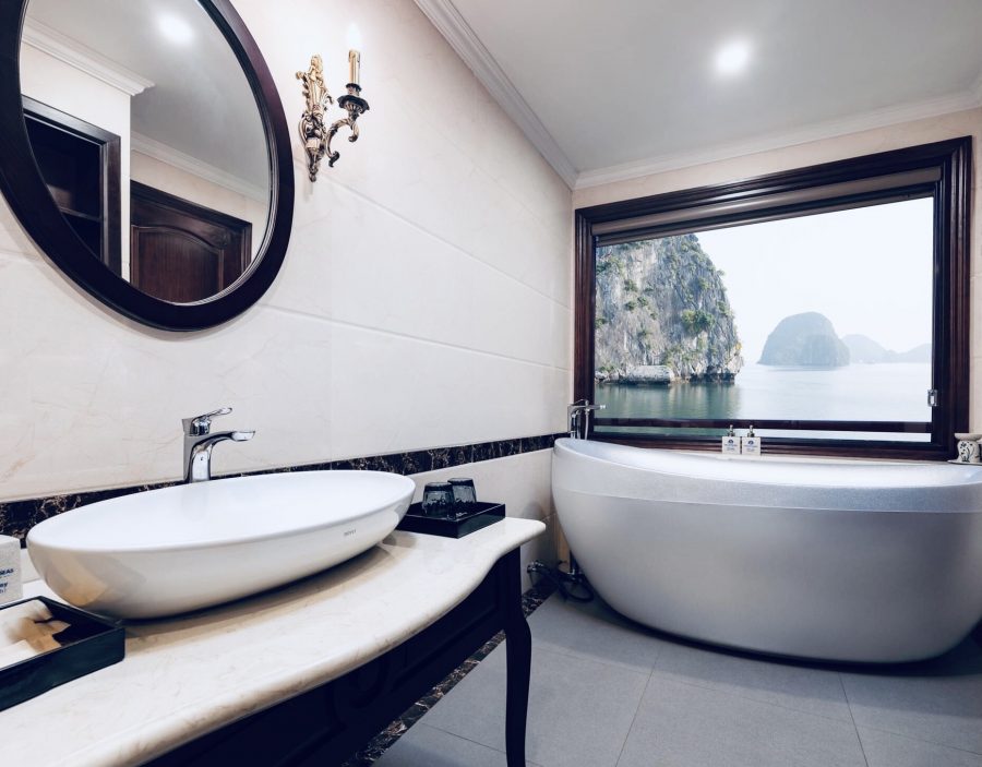 Aqua of the Seas Cruise Introduction