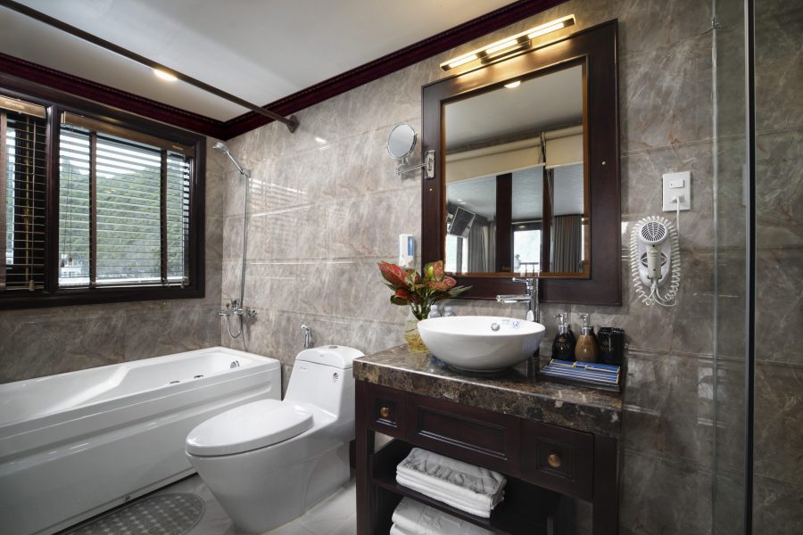 Alisa Cruise Introduction