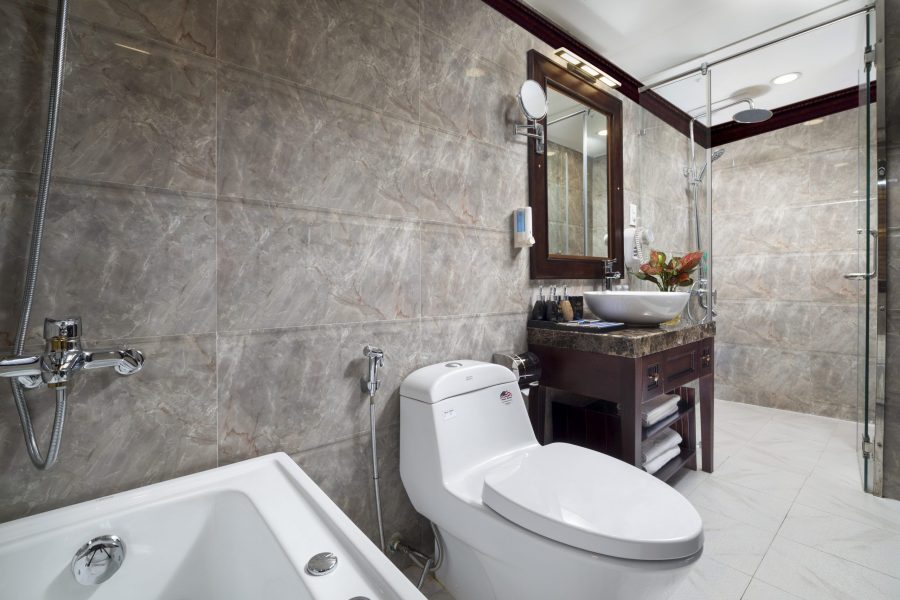 Alisa Cruise Introduction