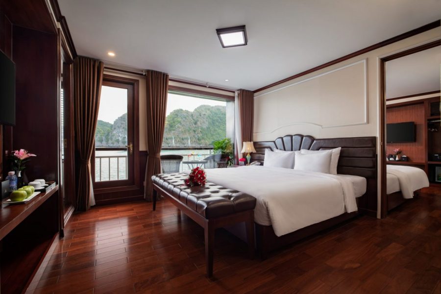 Dora Cruise Introduction