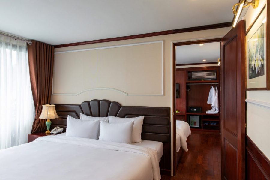 Dora Cruise Introduction