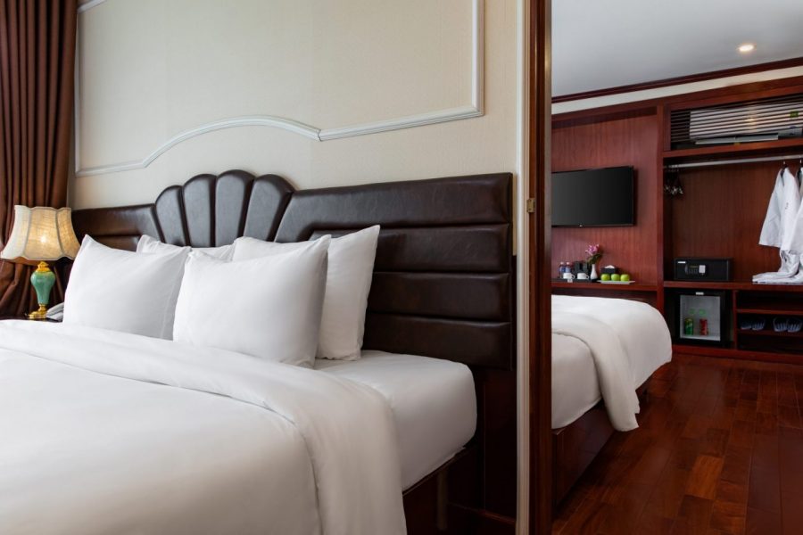 Dora Cruise Introduction