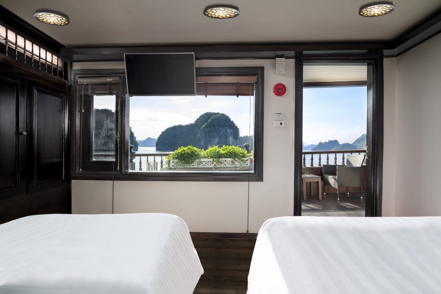 Alisa Cruise Introduction